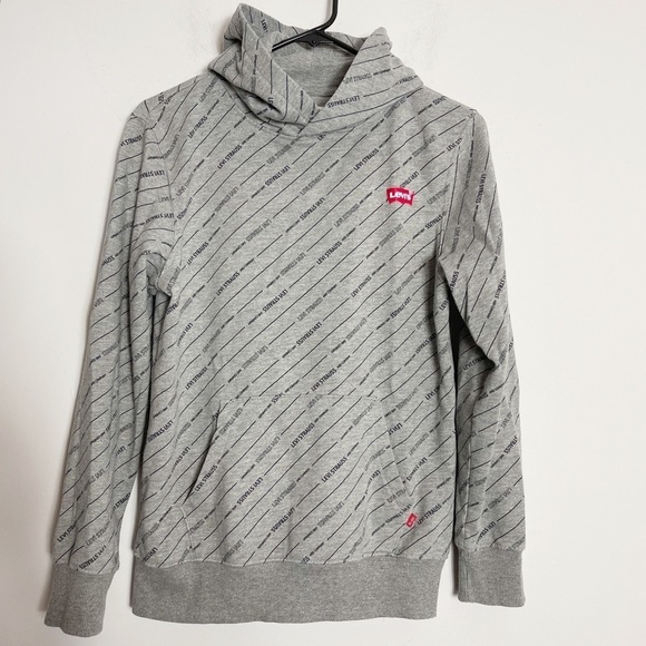 Levi’s Big Boys Logo Hoodie 14/16 - Picture 1 of 8